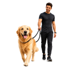 Dog Walking